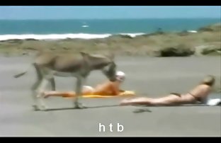 πορνό σεξ Το αγόρι διαζευγμένος για σεξ σεξ σεξ